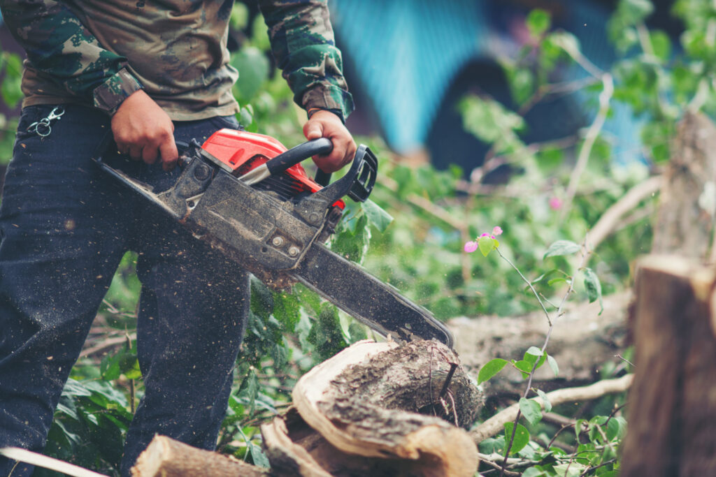 Tree Cutting Services