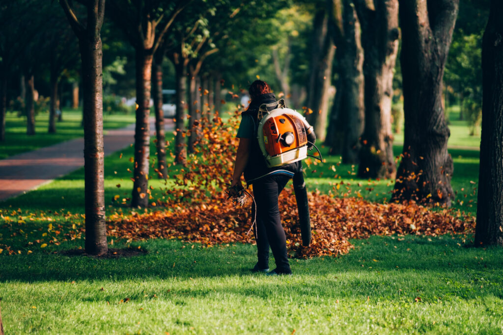 Tree Cutting Services