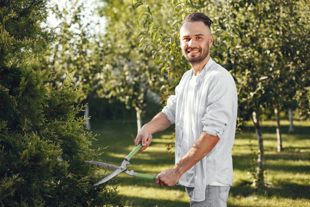 Affordable Tree Pruning Services