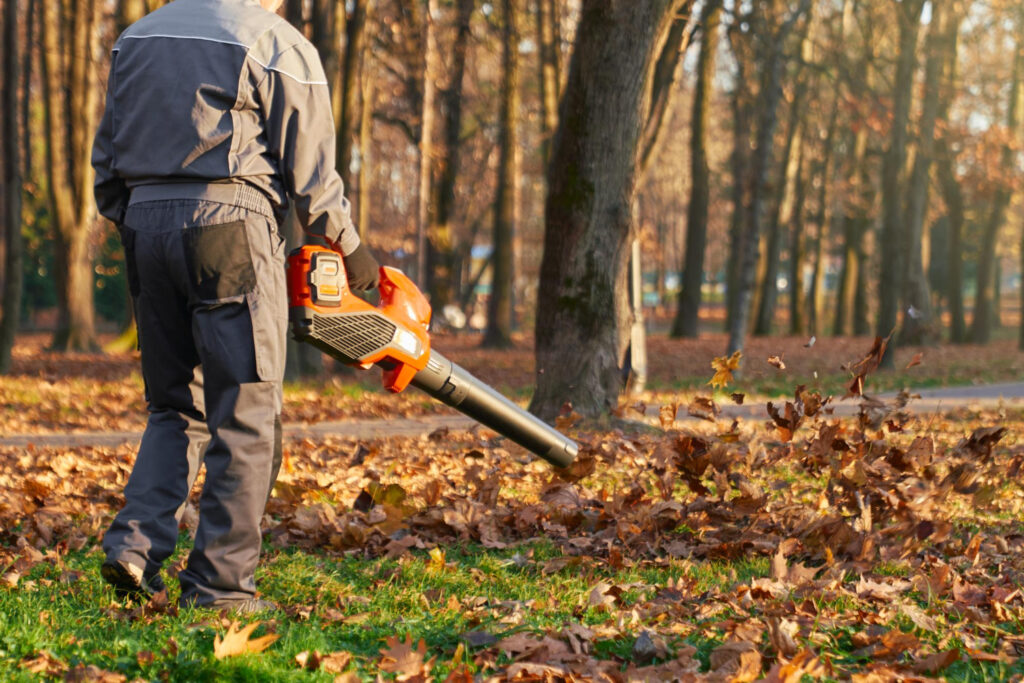 Affordable Tree Care Services in Hurst