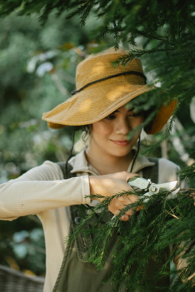 Tree Trimming Company